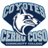 College logo