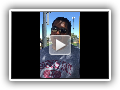 Video-0660-1